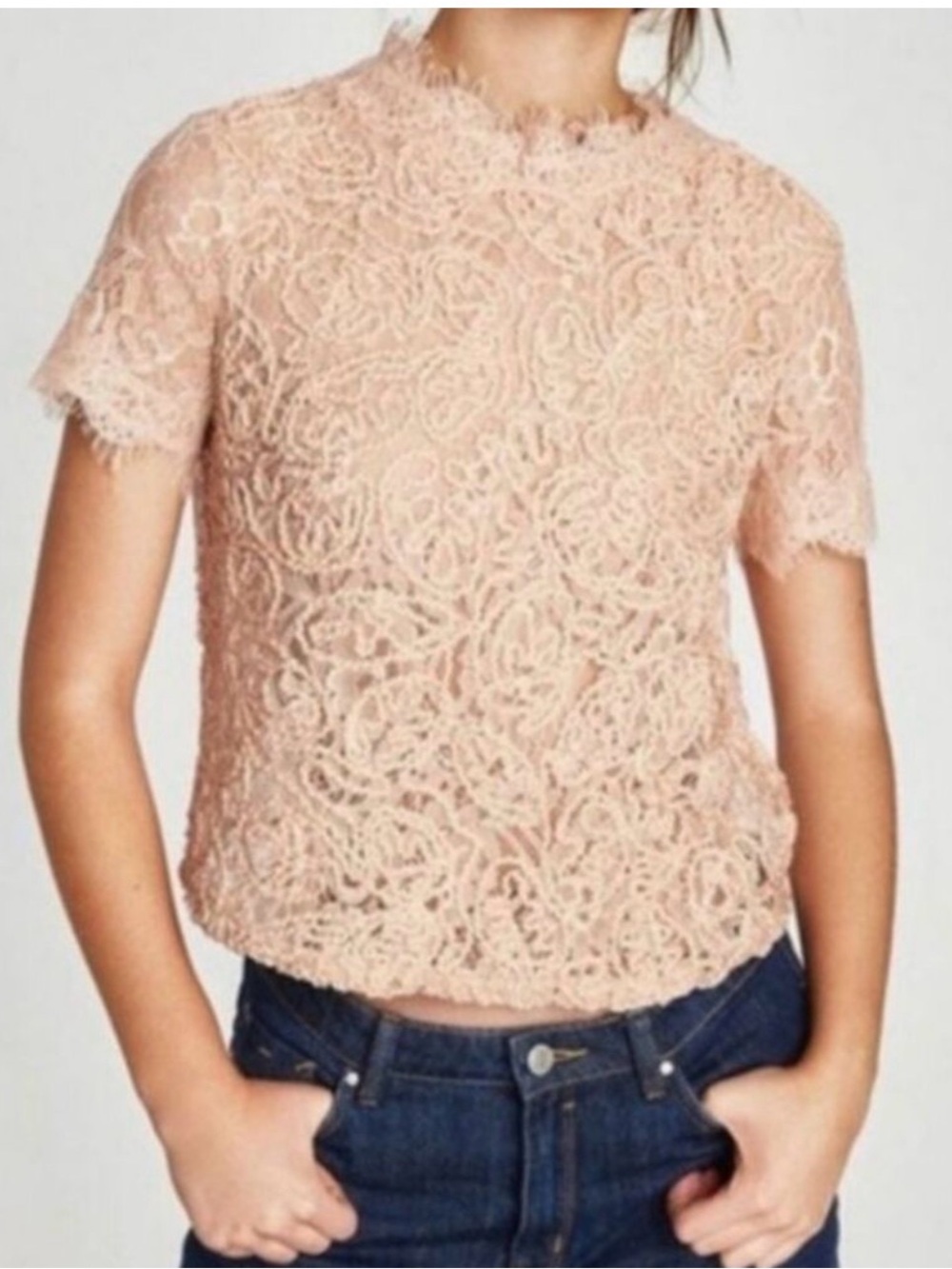 ZARA TRAFALUC Fairycore Lace Embroidered Front Sheer Top Blouse Blush Pink S